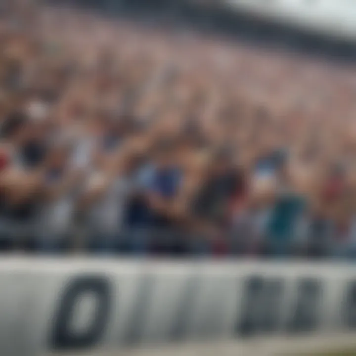 Fans cheering in the stands during a NASCAR event