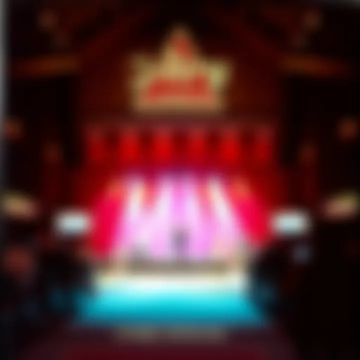 Entertainment stage showcasing a live performance